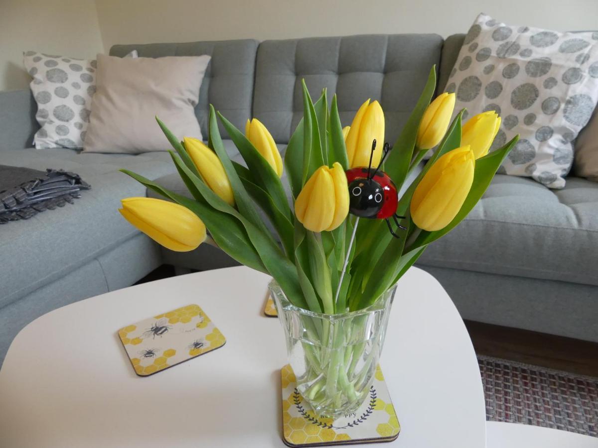 Ferienwohnung Suenteltraum Hamelin Bagian luar foto